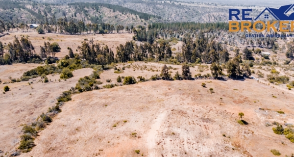 DJI_0275