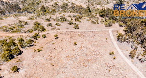 DJI_0276