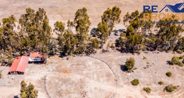 DJI_0277