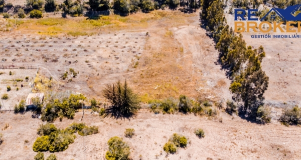 DJI_0278