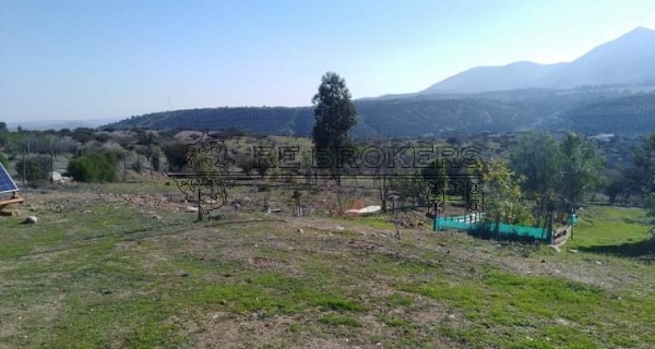 PHOTO-2020-11-19-15-42-27-1