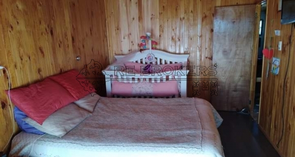 PHOTO-2020-11-19-15-57-04
