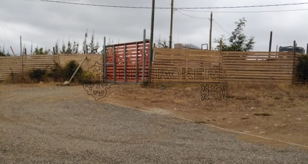 PHOTO-2020-11-19-15-58-10