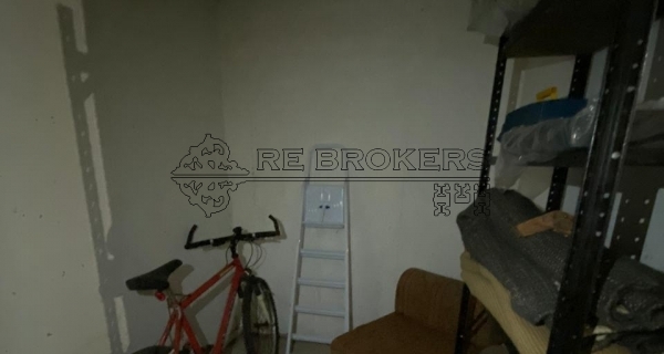 PHOTO-2020-12-04-23-10-48-1