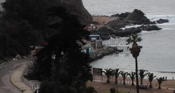 IMG-20190721-WA0023