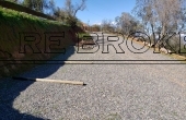PHOTO-2020-09-17-12-46-07-11