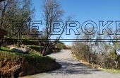 PHOTO-2020-09-17-12-46-08-3