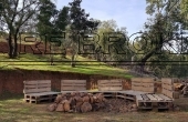 PHOTO-2020-09-17-12-46-33-1
